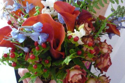 A very different fall bouquet.  This contains sunset calla lilies, Tiramisu spray roses, Boston Fern greens, light blue delphinium and burgundy hypericum berries.