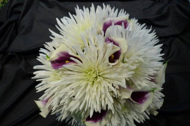 An unusual round bouquet of white spider mums and Picasso calla lilies.