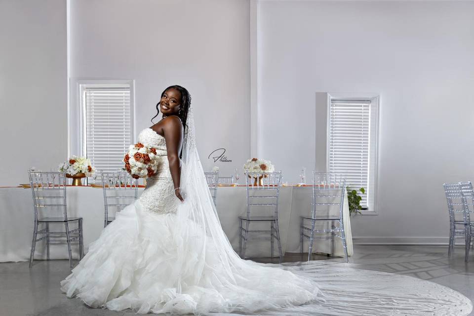Bridal Portrait in Tara Hall