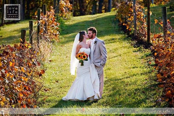 Bluemont Vineyard Wedding