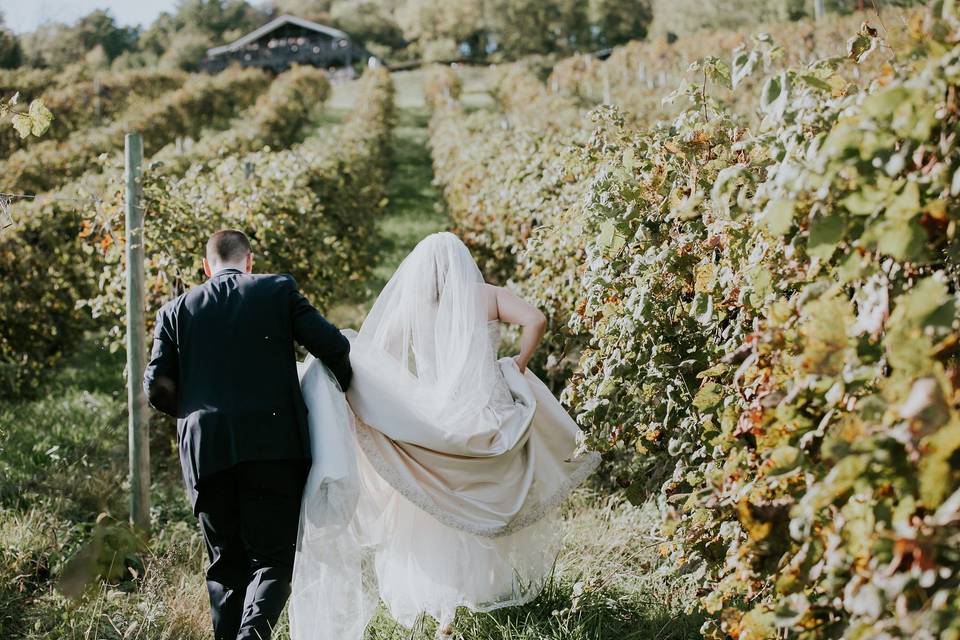 Bluemont Vineyard Ceremony