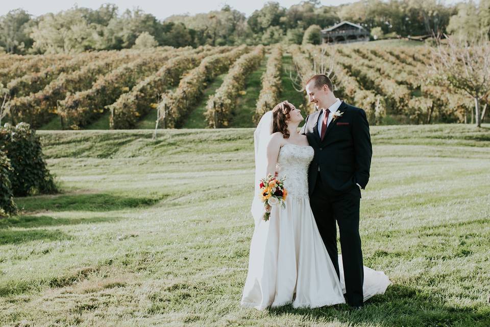 Bluemont Vineyard Wedding