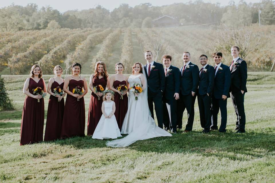 Bluemont Vineyard Wedding