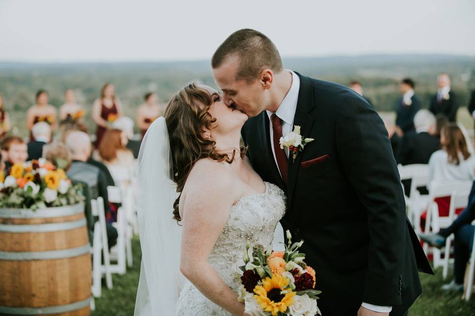 Bluemont Vineyard Portrait