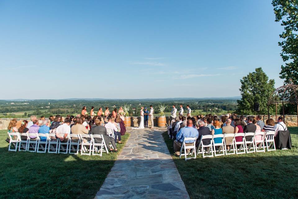 Bluemont Vineyard