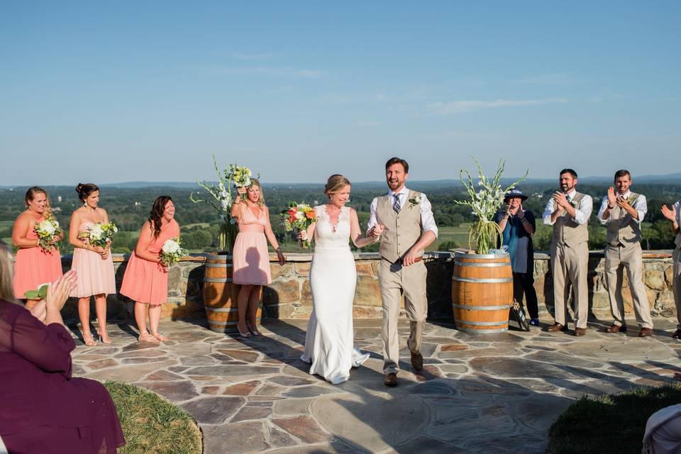 Bluemont Vineyard