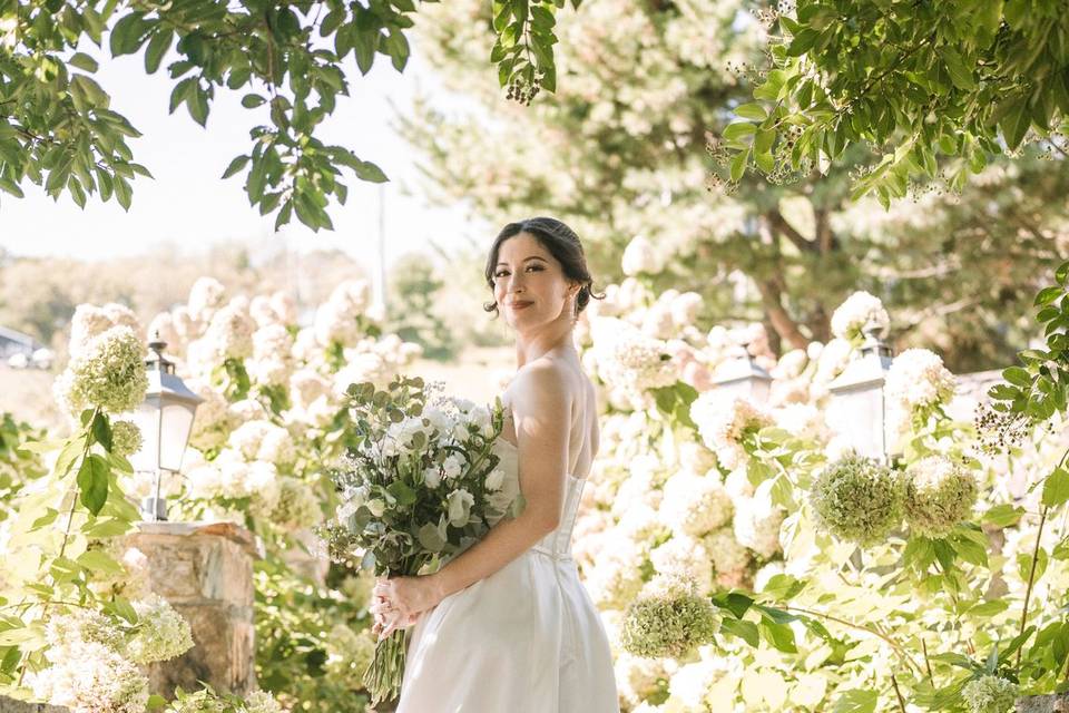 Bluemont Vineyard Weddings