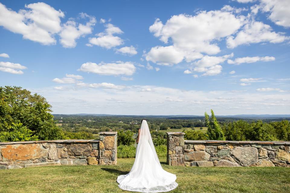 Bluemont Vineyard Weddings