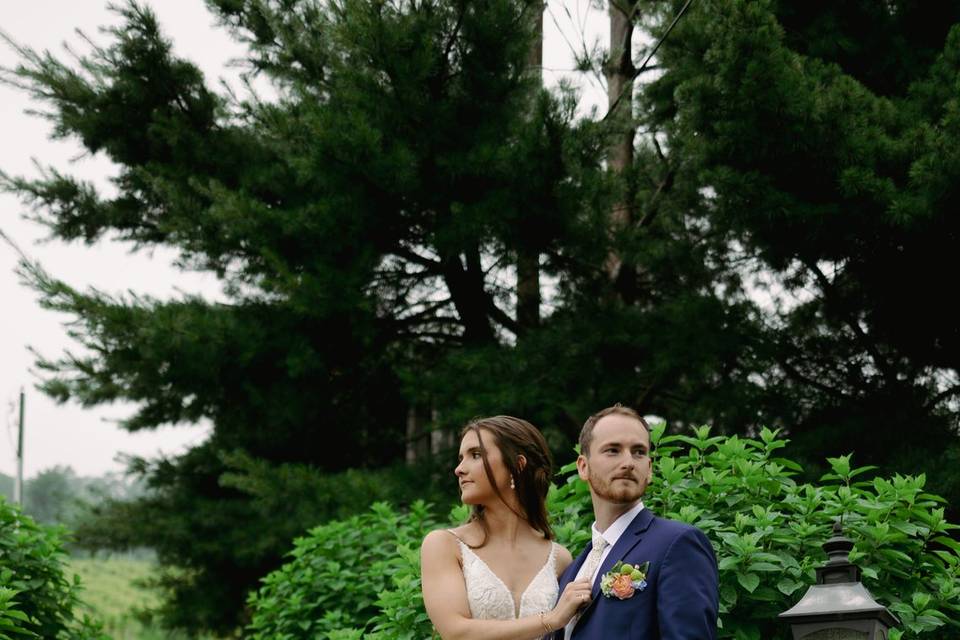 Bluemont Vineyard Weddings