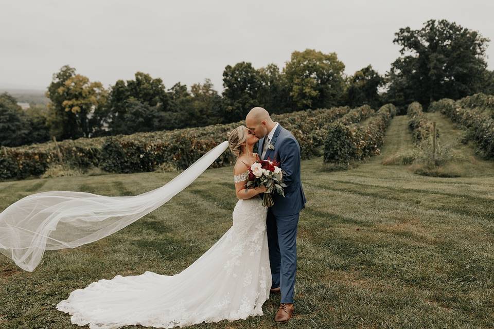 Bluemont Vineyard Wedding