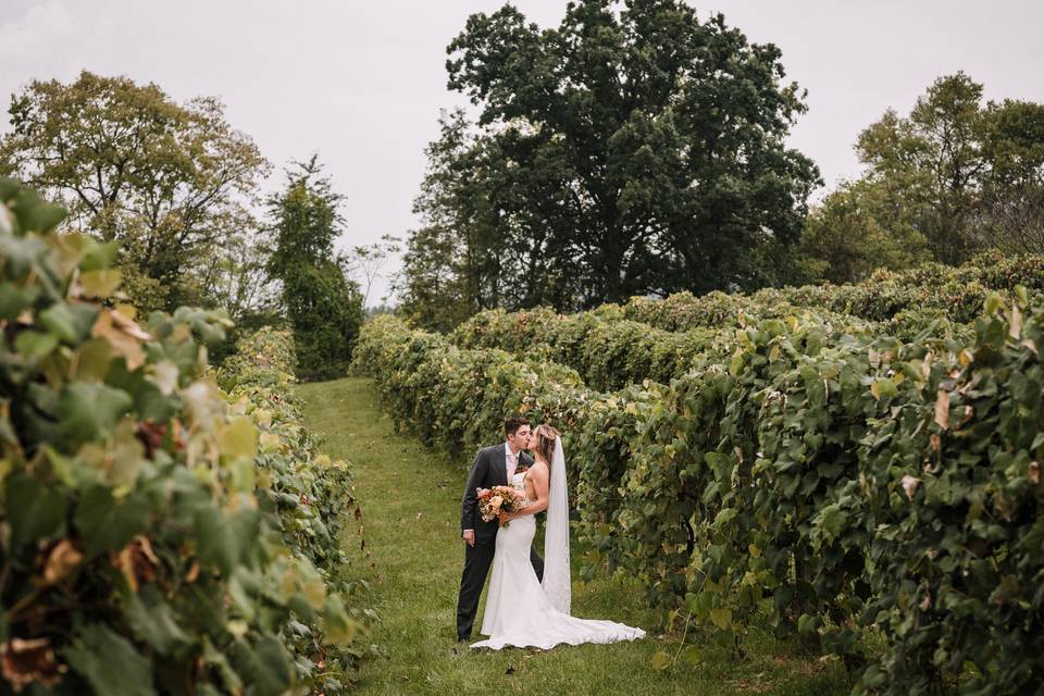 Bluemont Vineyard Weddings