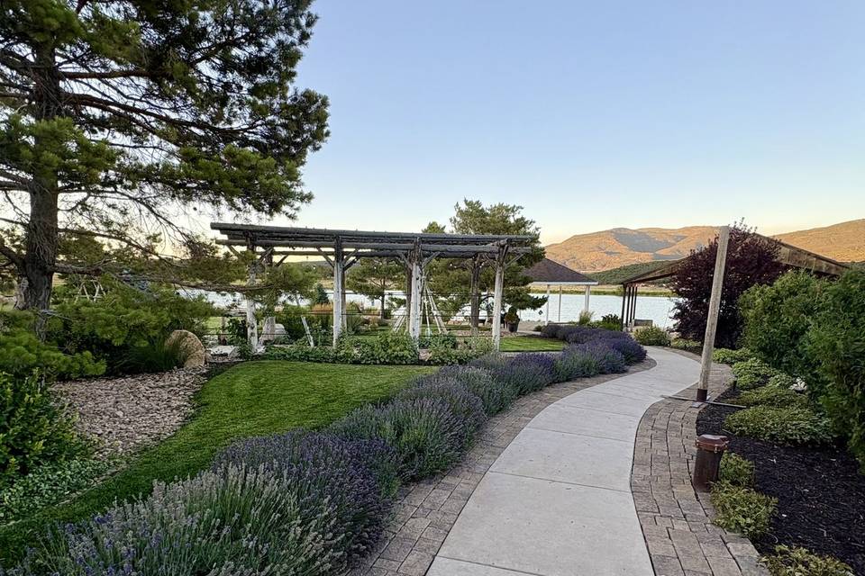 Lavender Pathway