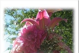 Courtesy of Affordable Elegance Flowers