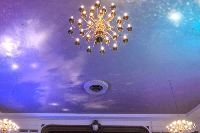 Ceiling Wash/Image Projection