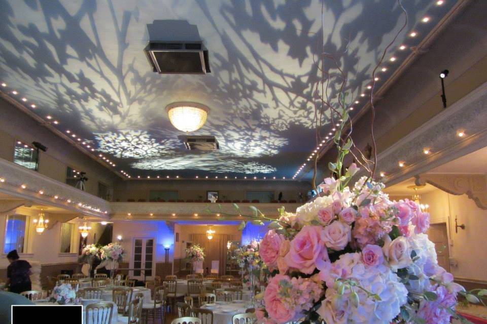 Image Projection on Ceiling