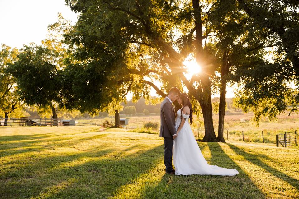 August | Laura Leigh