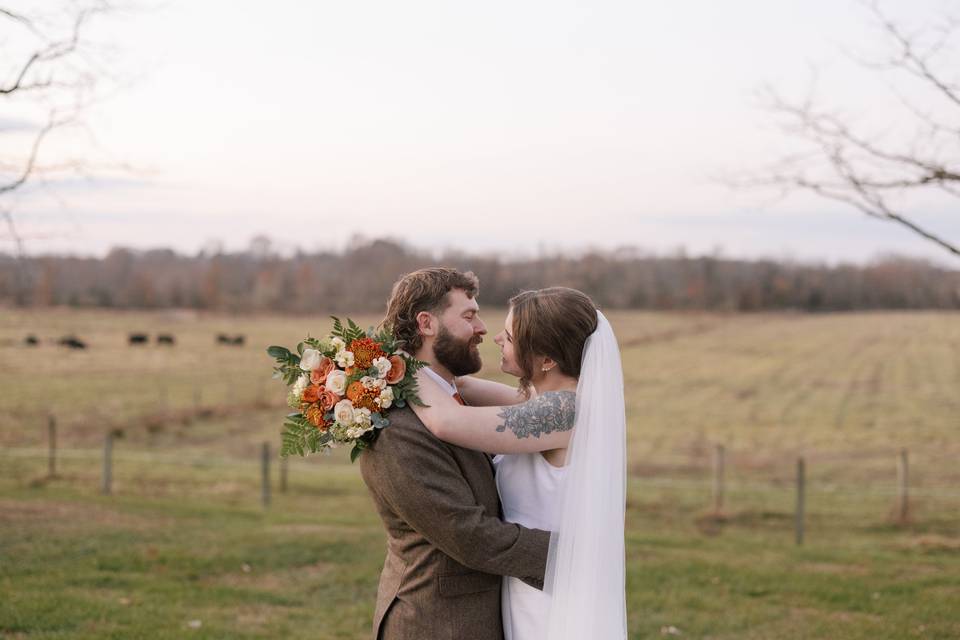 November | ALN Images