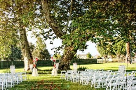 Wedding couple