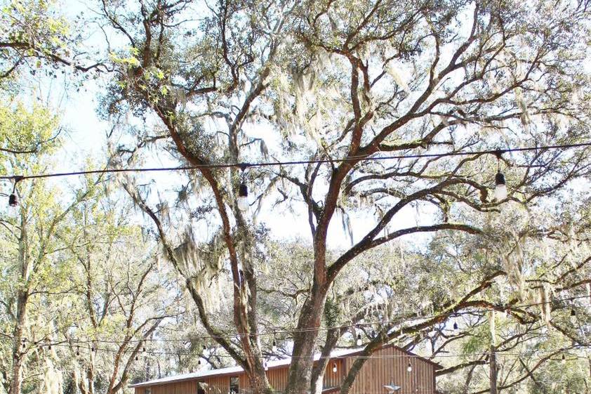 The Barn and Bridal Suite