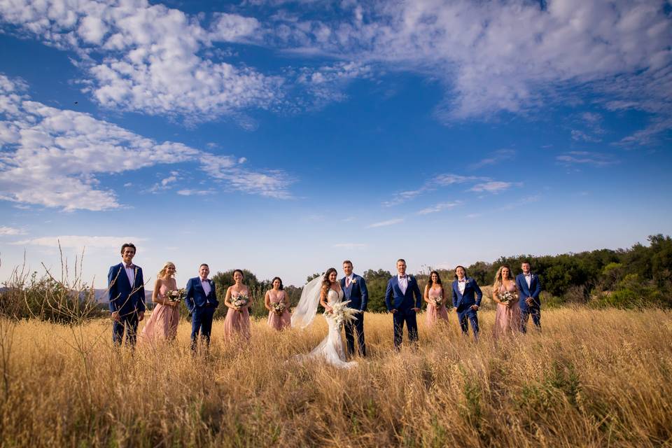 Wedding party