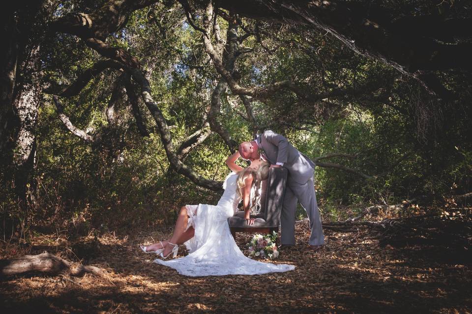 Hidden in the oaks