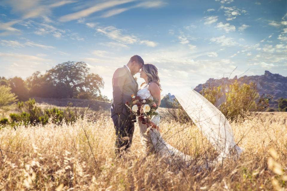 Field w dreamy lighting