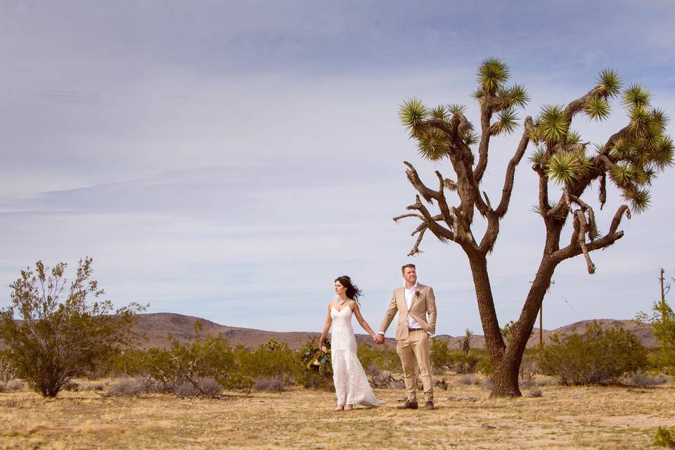 Desert wedding romantic