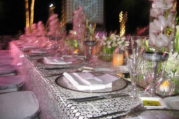 ALEGRIA PARTY DESIGN