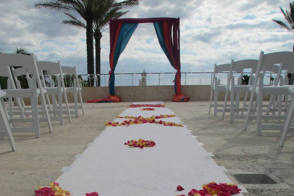 Rose petals in Miami Beach, FL