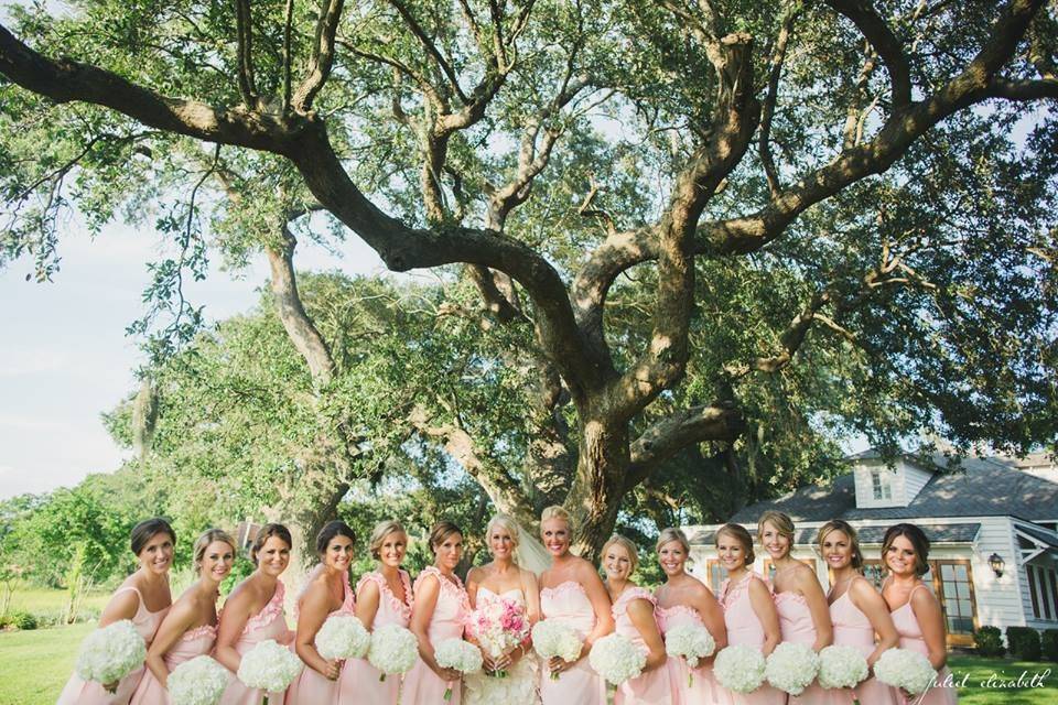 The bride with her bridesmaids