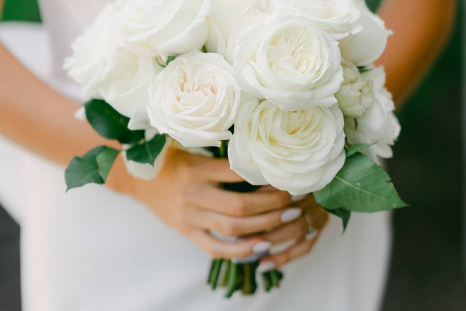 All White Roses