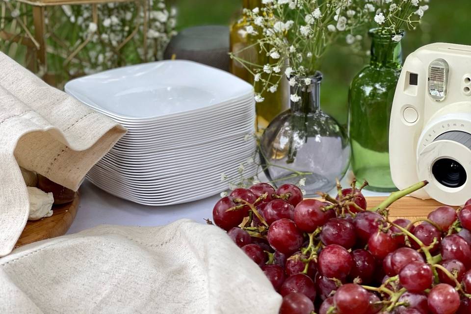 Outdoor Picnic