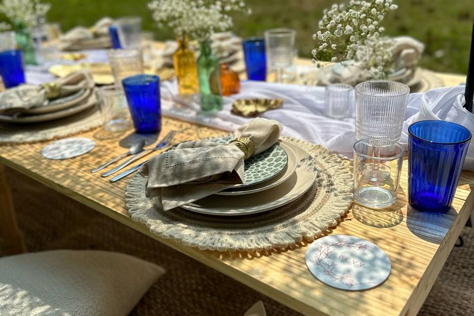 Outdoor Picnic