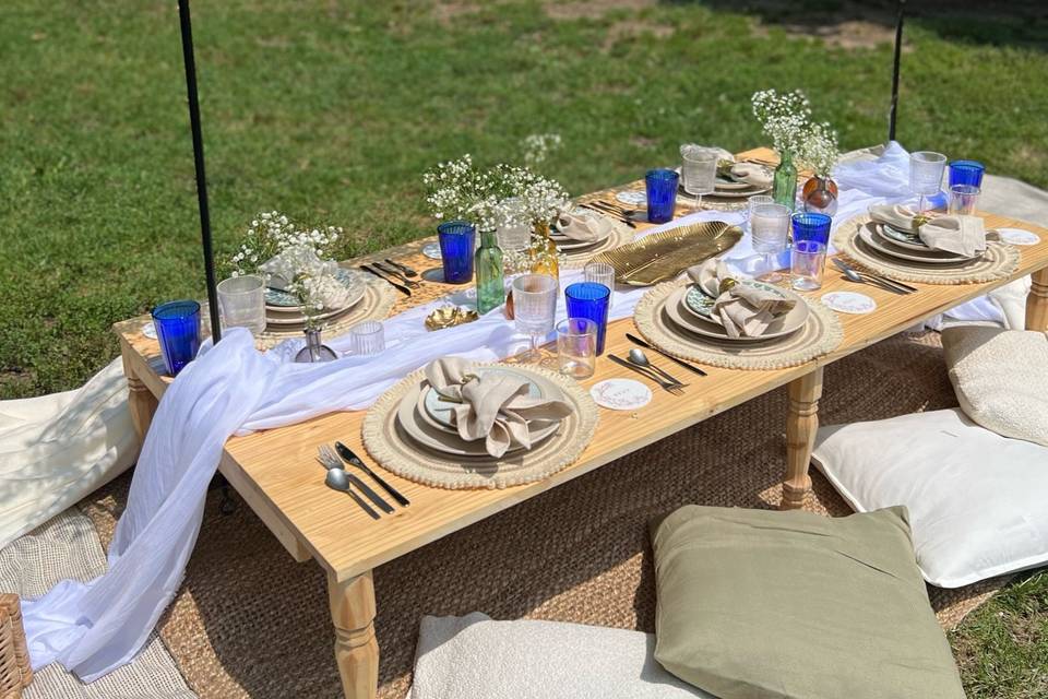 Outdoor Picnic