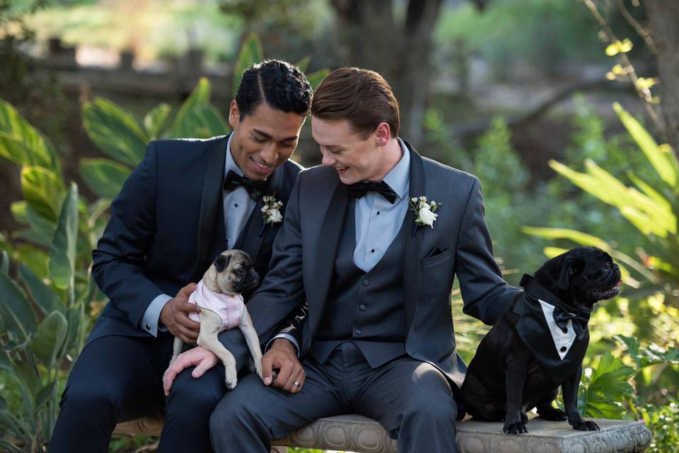 Furry friends on the big day
