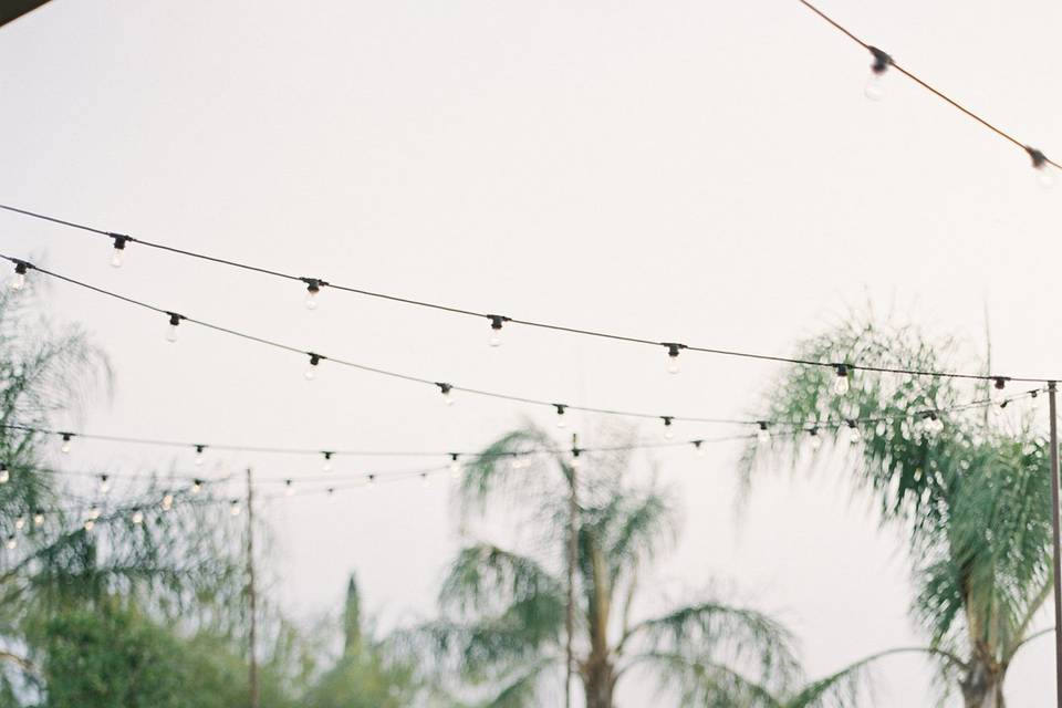 Wedding reception