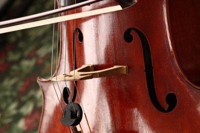 Cello close-up