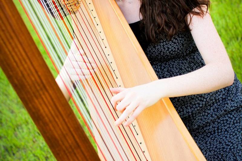 The Texas Harpist