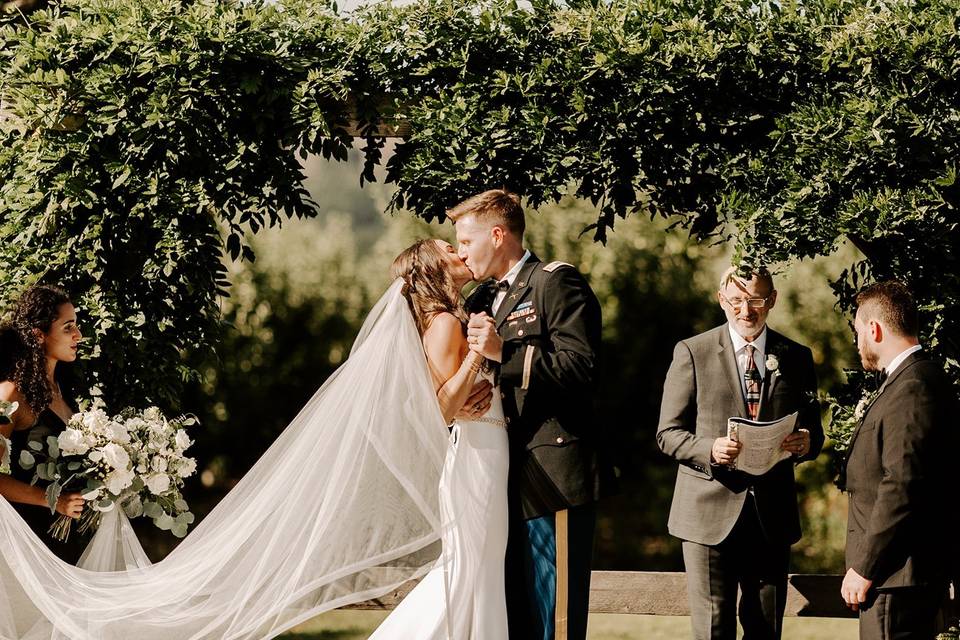 Under the wisteria arbor