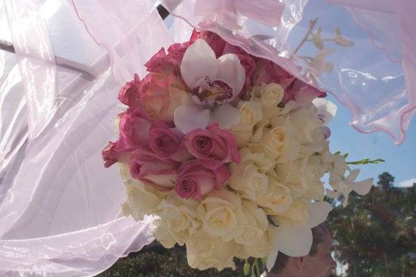 Wedding Arch flowers by Flower of  the World
Beach Bliss package of Miami Beach