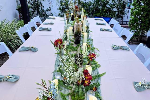 1000056582.jpg