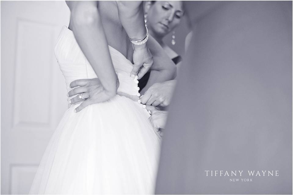 Tiffany Wayne Photography