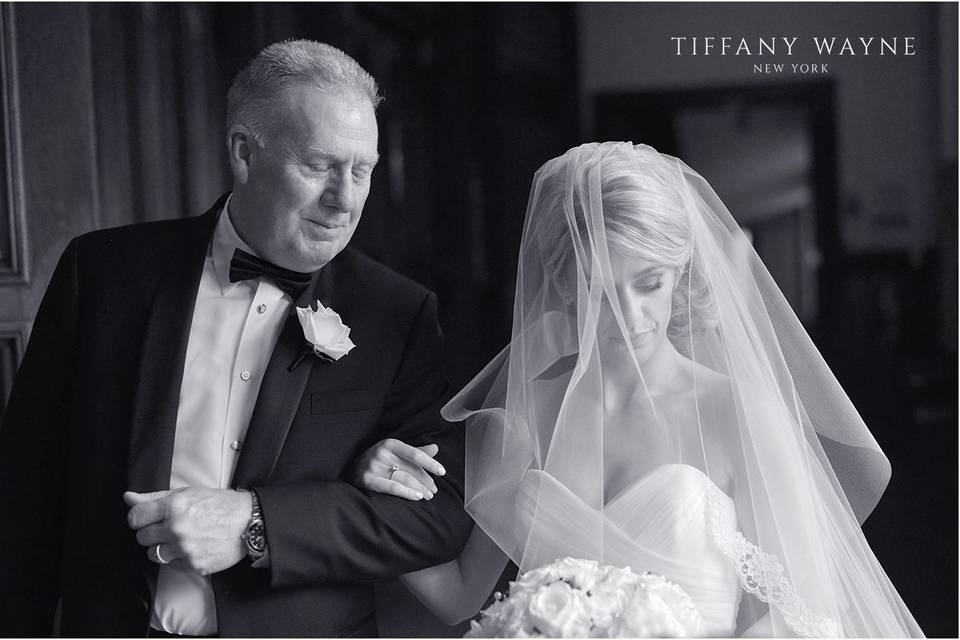 Tiffany Wayne Photography