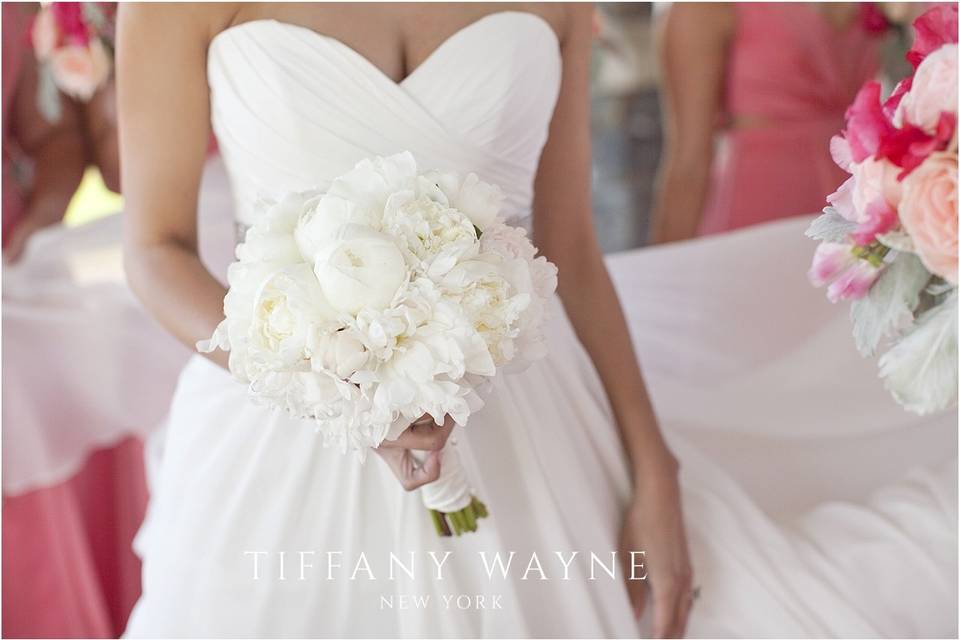 Tiffany Wayne Photography