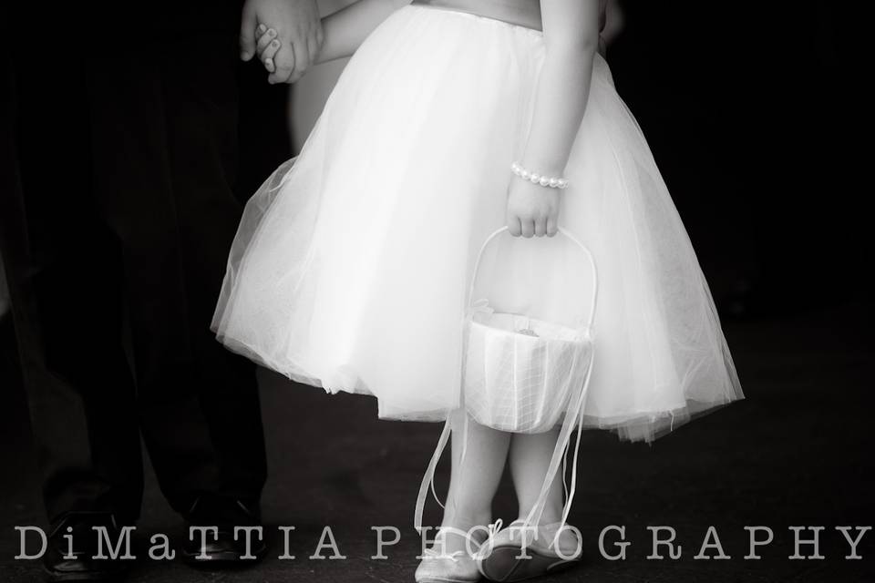 DiMattia Photography