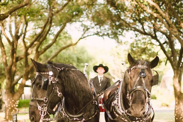 Horse Carriage