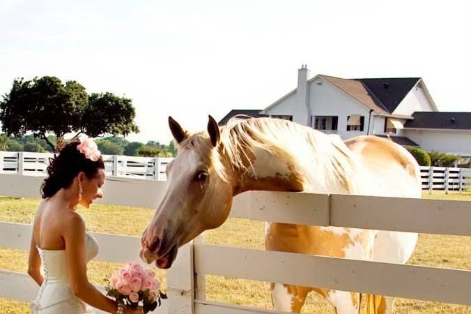 Southfork Ranch Wedding