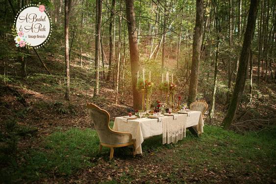 Dining set in the forest