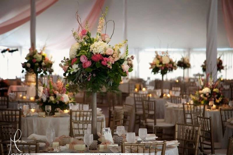 Elegantly arranged centerpieces