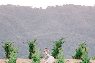 Denise Kramer Weddings